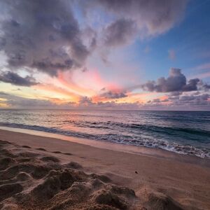 Meet your Posher, Chantelle